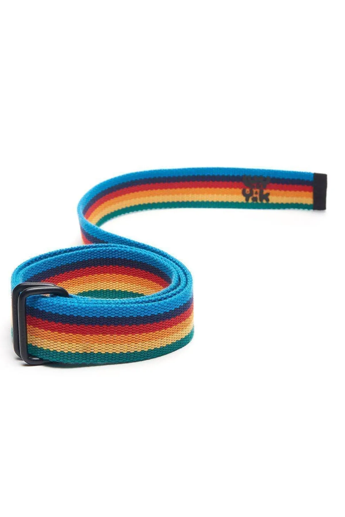 Lucy & Yak Flynn - D-Ring Cotton Webbing Belt in Rainbow Stripe