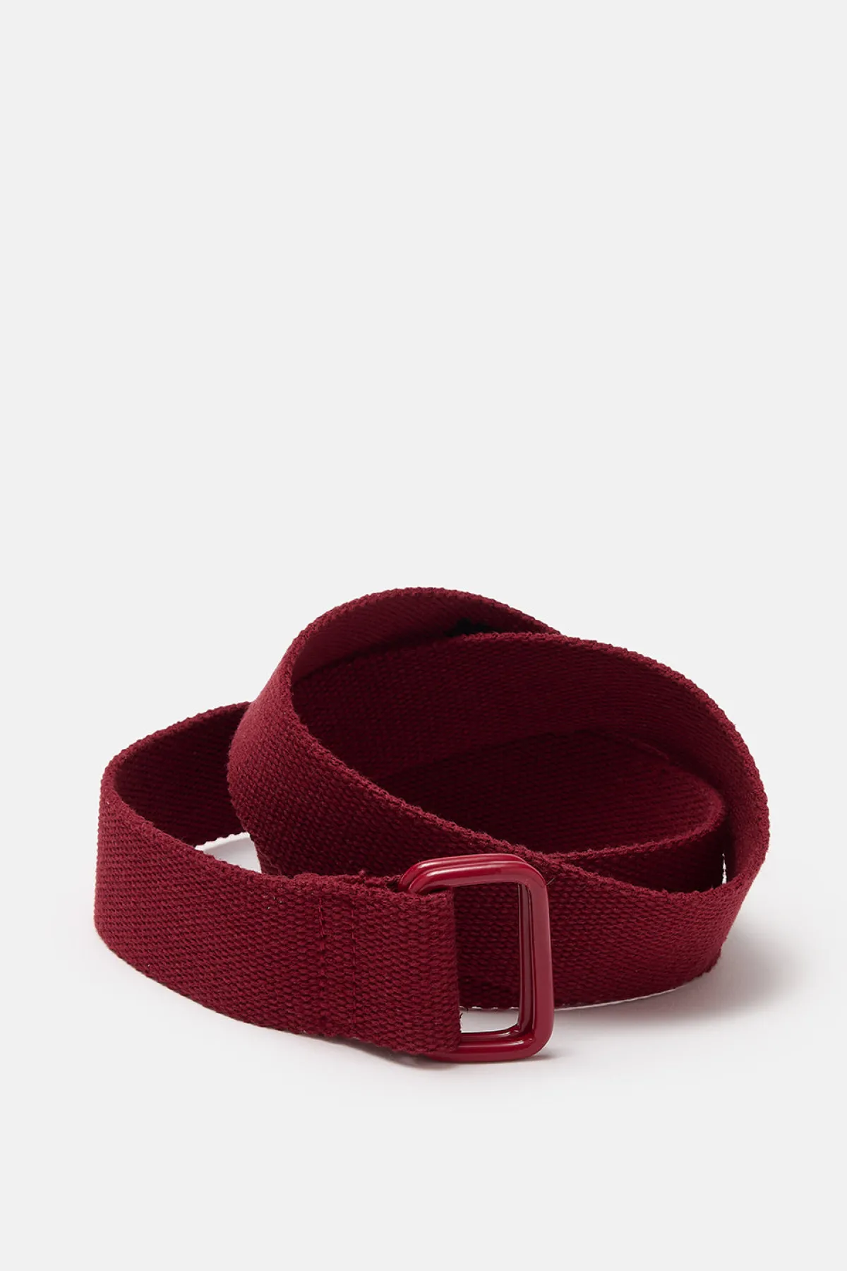 Lucy & Yak Flynn - D-Ring Cotton Webbing Belt in Red Dahlia