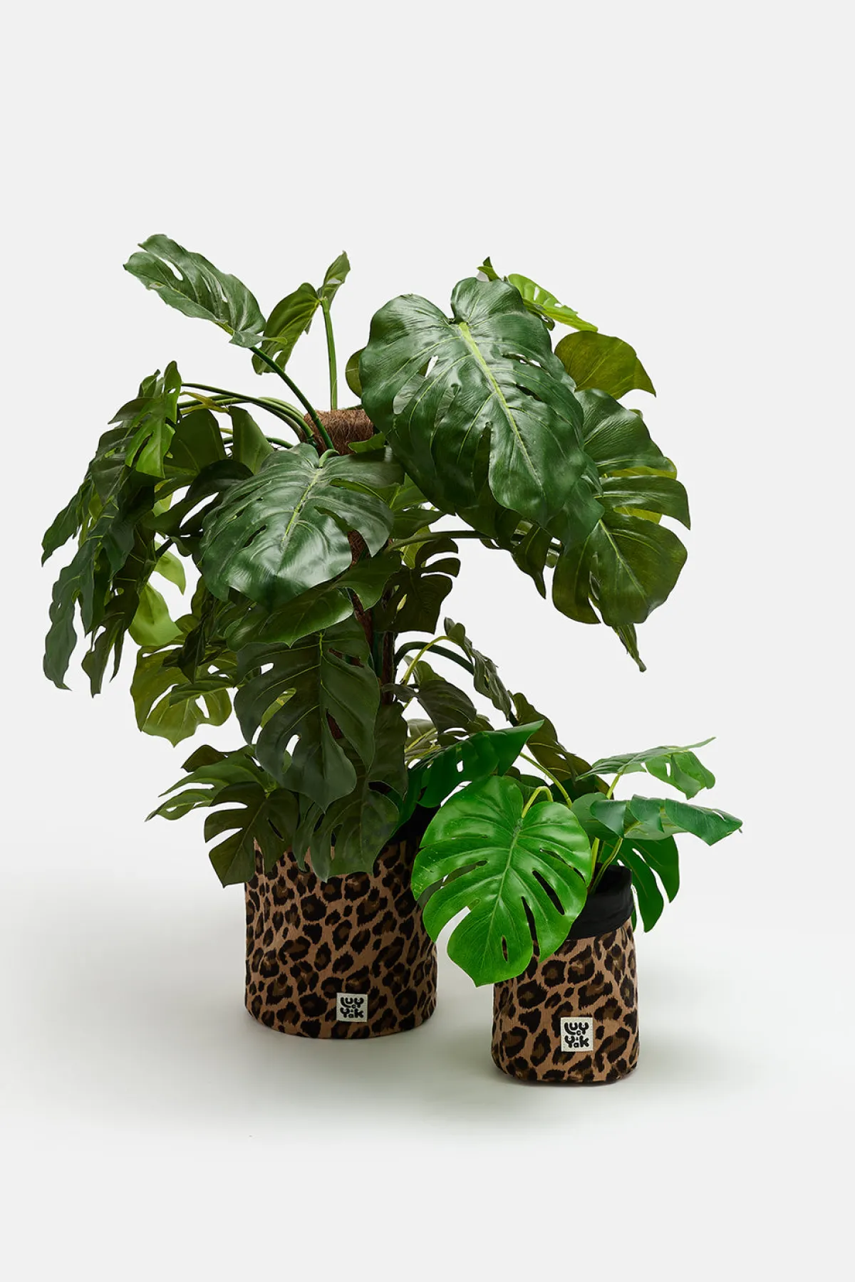 Lucy & Yak Runa - Plant Pot Covers in Leopard Corduroy Print (2 Pack)