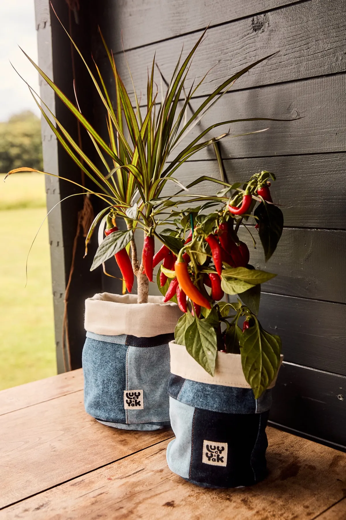Lucy & Yak Runa - Plant Pot Covers in Paige Patchwork Print (2 Pack)