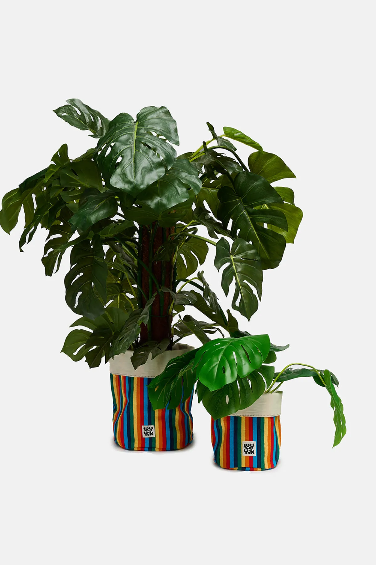 Lucy & Yak Runa - Plant Pot Covers in Rainbow Stripe Print (2 Pack)